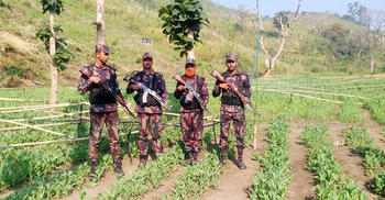 বান্দরবানে ৩০ একর নিষিদ্ধ পপিক্ষেত ধ্বংস