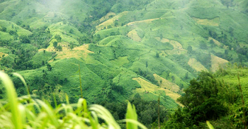 সবুজ বান্দরবান লাল হচ্ছে রক্তে, দুই মাসে ১৮ হত্যাকাণ্ড