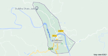Two teenage boys killed in Bandarban elephant attack