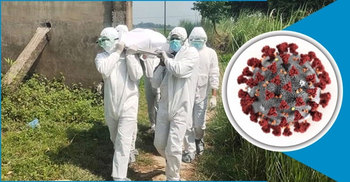 Coronavirus deaths in Bangladesh cross 3,500