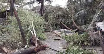 Cyclone ‘Bulbul’ claims four lives