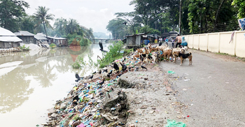 বরগুনা পৌরশহরের বর্জ্য মিশছে নদী-খালে