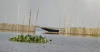 সরকারি বিল দখল করে দেড় কোটি টাকার মাছ আহরণ!