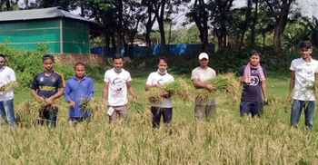 কৃষকের ৪ বিঘা ধান কেটে ঘরে তুলে দিল ছাত্রলীগ