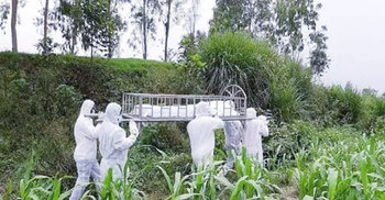 করোনা : এগিয়ে আসেনি এলাকাবাসী, লাশের জানাজা-দাফন করল ছাত্রলীগ
