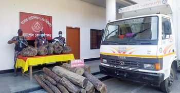 শার্শায় ‘জরুরি ওষুধের’কাভার্ডভ্যানে ভারতীয় চন্দন কাঠ