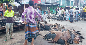 ‘চামড়ার কডা টাকা পাতাম, এবার তাও পালাম না’