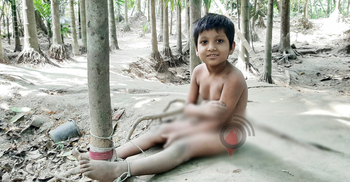 সাত বছরেই রশিতে বাঁধা কাওছারের জীবন