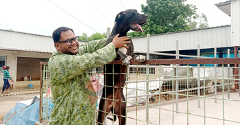 অস্ট্রেলিয়া থেকে গ্রামে ফিরে কুকুর খামার, বছরে আয় ১৮ লাখ