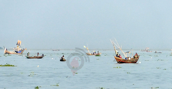 মেঘনা-তেঁতুলিয়ায় ইলিশ-পাঙাশ কোনোটাই মিলছে না