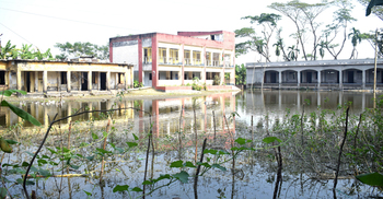 প্রাথমিক বিদ্যালয়ের মাঠে প্রধান শিক্ষকের মাছ চাষ