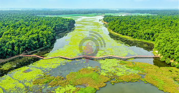 মেগা প্রকল্পে আশুড়ার বিল হবে উত্তরবঙ্গের অ্যামাজন!