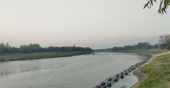 পাখির অভয়াশ্রমে আ.লীগ নেতার ড্রেজার মেশিন, চলে যাচ্ছে পাখিরা