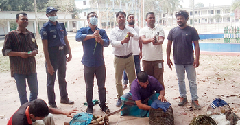 মুক্ত আকাশে ছাড়া পেল খাঁচায় বন্দি ২০ পাখি