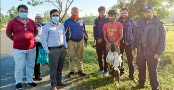 হবিগঞ্জে অতিথি পাখি শিকার-মাটি উত্তোলন, ৪ জনকে কারাদণ্ড