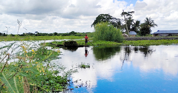 প্রধানমন্ত্রীর বিশেষ বরাদ্দের রাস্তায় চলছে নৌকা