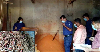 হলুদের গুঁড়ায় আতপ চাল মরিচে ধানের গুঁড়া!