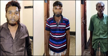 নারী ইউপি সদস্যের বাড়ি থেকে গাঁজা উদ্ধার, গ্রেফতার ৩