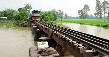 ট্রেন দেখে ব্রিজ থেকে যুবকের লাফ, অতঃপর