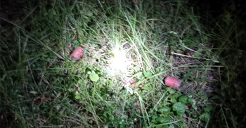 ফরিদপুরে বাগান থেকে তিনটি বোমা উদ্ধার