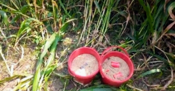 ভুট্টাক্ষেতে মিললো ১৬ হাতবোমা