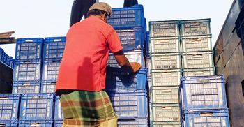 বেনাপোলে ছোলা আমদানি বাড়লেও বাজারে দাম চড়া