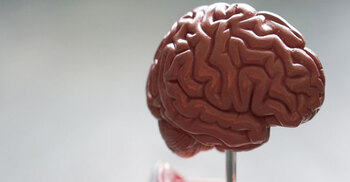 Bad dreams in older adults could signal onset of Parkinson’s: Study