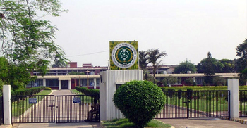 দেশে ৩০ লাখ টন চাল উদ্বৃত্ত থাকবে, ধান গবেষণার তথ্য