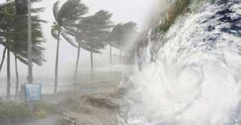 সুন্দরবনে বুলবুলের প্রভাব