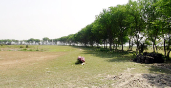 ঝালকাঠি ইকোপার্ক রক্ষায় আদালতে মামলা, ডিসি-মেয়রসহ ১৬ জন বিবাদী