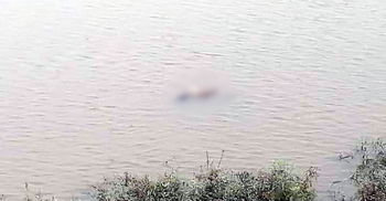 কুমিল্লায় নদী থেকে যুবকের মরদেহ উদ্ধার