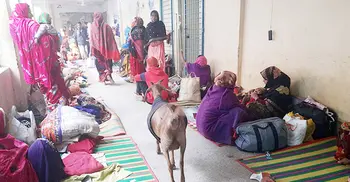 হাসপাতালের ডায়রিয়া ওয়ার্ডে ছাগল!