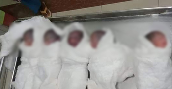 কোলজুড়ে এলো পাঁচ সন্তান, একে একে মরে গেল সবাই