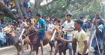 চাঁপাইনবাবগঞ্জে ঘোড়দৌড় প্রতিযোগিতা অনুষ্ঠিত