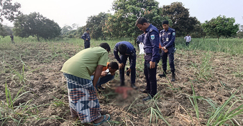 শিবগঞ্জে আখক্ষেত থেকে কঙ্কাল উদ্ধার