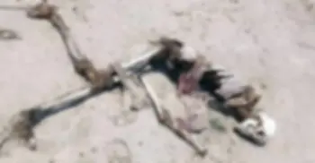 পদ্মার চরে মিলল কোমরে রশি বাঁধা কঙ্কাল