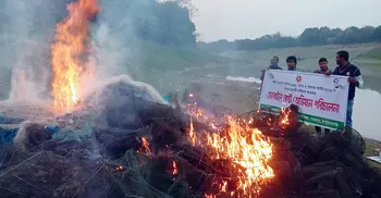 চাঁপাইনবাবগঞ্জে চায়না দুয়ারি-কারেন্ট জাল পুড়িয়ে ধ্বংস