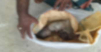 ডাস্টবিনে পড়েছিল নবজাতকের মরদেহ