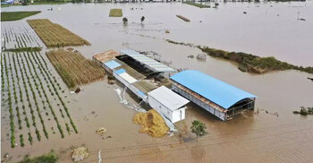 15 killed, 3 missing as rainstorms hit north China’s Shanxi