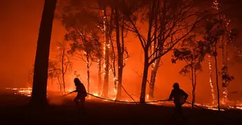 'Climate emergency' word of the year