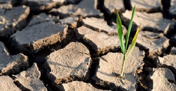 UN climate change goal now 'within reach'