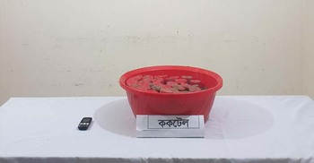 ঘরের বারান্দায় মিললো ৩৩ ককটেল