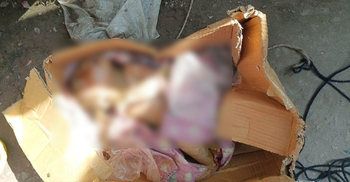 ভাগাড়ে মিললো নবজাতকের মরদেহ