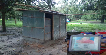 করোনা নিয়ে ৫০ দিন আম বাগানে পোশাককর্মী!