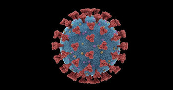 চুয়াডাঙ্গায় আরও একজন করোনায় আক্রান্ত, শতাধিক বাড়ি লকডাউন