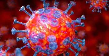 করোনা মোকাবিলায় গোড়ায় গলদ রাসিকের