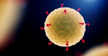 মধুপুরে হাসপাতালে করোনা উপসর্গ নিয়ে বৃদ্ধের মৃত্যু