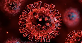 Coronavirus: Global cases near 6 million