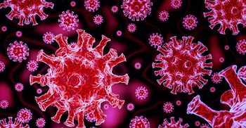 Coronavirus: 31 more die in 24 hours