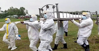 Coronavirus: 39 more die in 24 hours